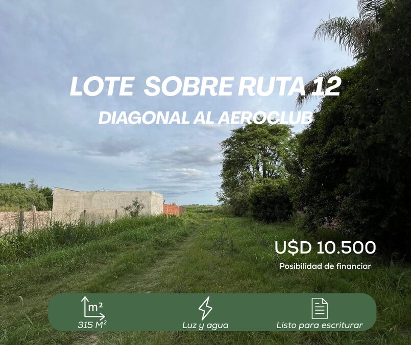 LOTES EN VENTA - SAUCE MONTRULL
