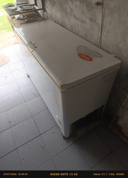 Vendo freezer gafa sin gas