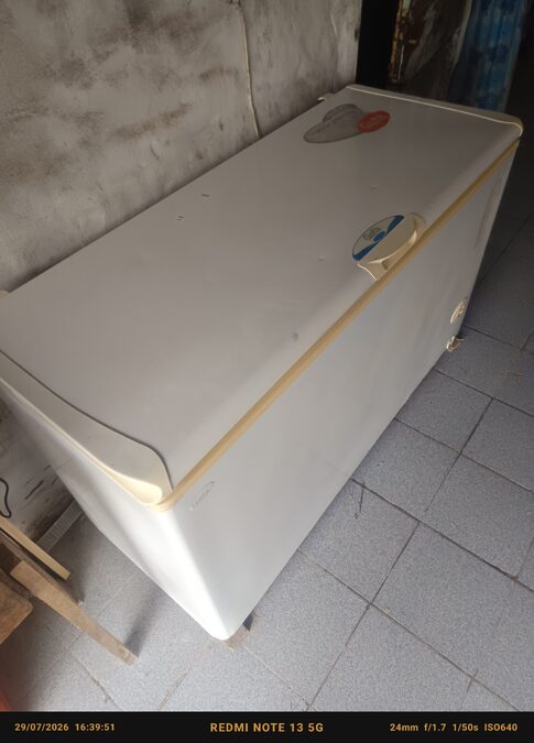 Vendo freezer gafa sin gas
