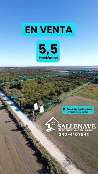 EN VENTA 5,5 HECTAREAS CON VISTA AL RIO