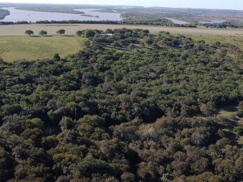 EN VENTA 5,5 HECTAREAS CON VISTA AL RIO