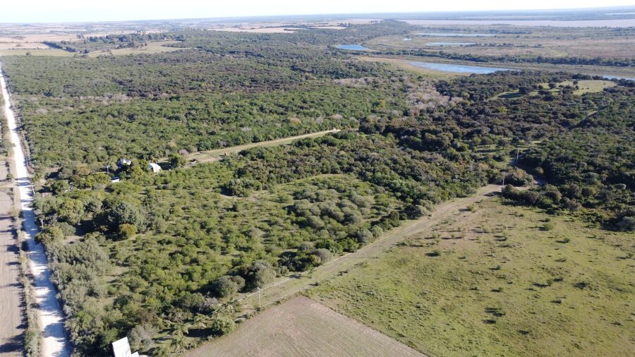 EN VENTA 5,5 HECTAREAS CON VISTA AL RIO