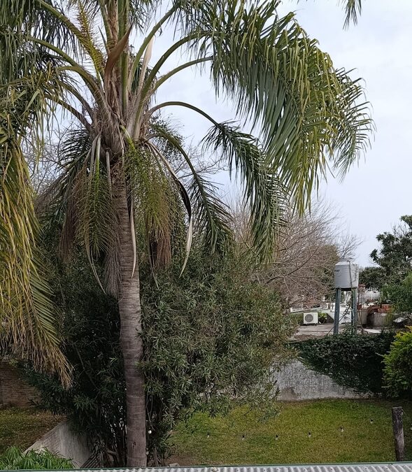 CASA EN VENTA  (Zona Chango Mas)