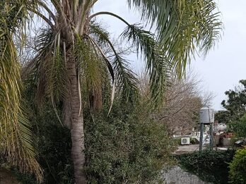 CASA EN VENTA  (Zona Chango Mas)