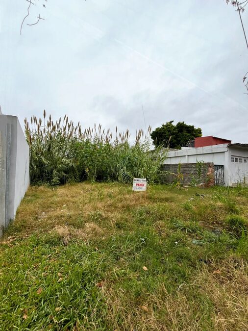 SE VENDE TERRENO EN CALLE VICENTE DEL CASTILLO