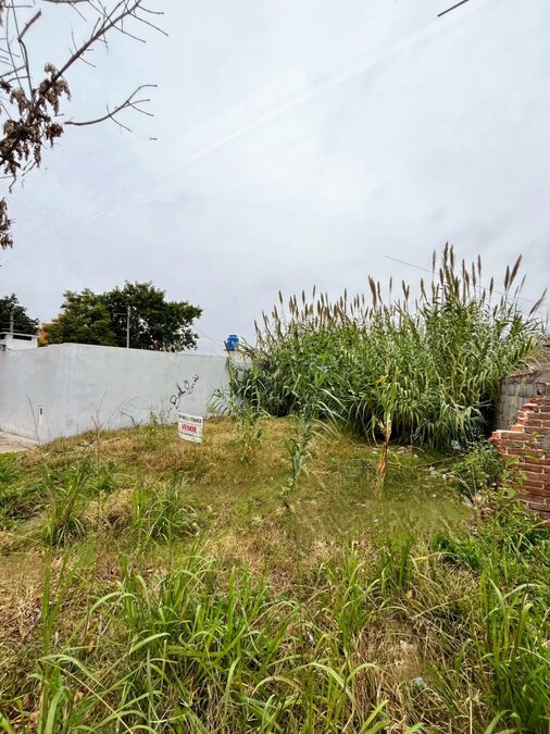 SE VENDE TERRENO EN CALLE VICENTE DEL CASTILLO