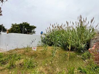 SE VENDE TERRENO EN CALLE VICENTE DEL CASTILLO