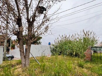 SE VENDE TERRENO EN CALLE VICENTE DEL CASTILLO