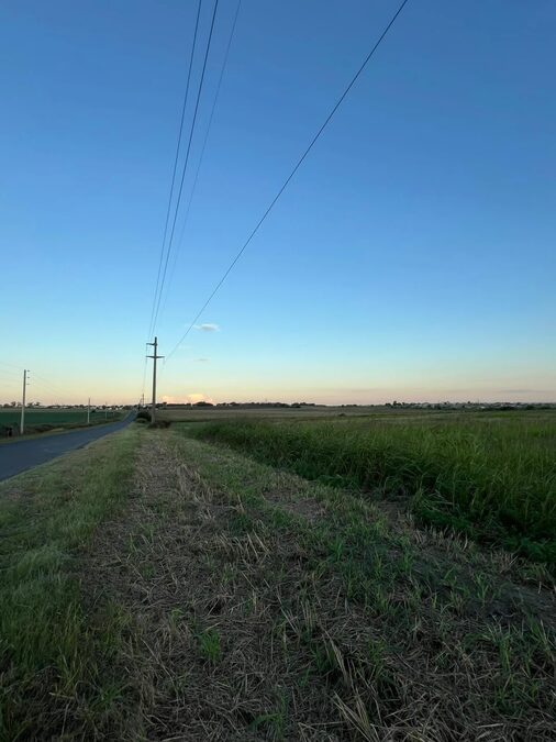 LOTE SOBRE ASFALTO EN COLINAS