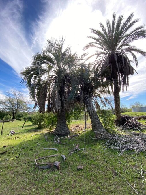 VENTA DE CAMPO
