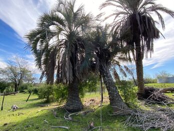 VENTA DE CAMPO