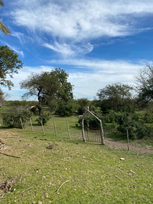 VENTA DE CAMPO