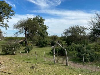 VENTA DE CAMPO