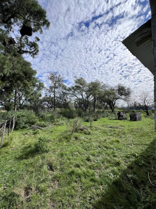 VENTA DE CAMPO