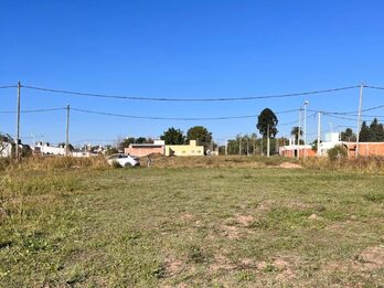 TERRENO EN ZONA FRANCIA Y BORGES