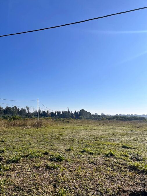 TERRENO EN ZONA FRANCIA Y BORGES