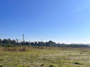 TERRENO EN ZONA FRANCIA Y BORGES