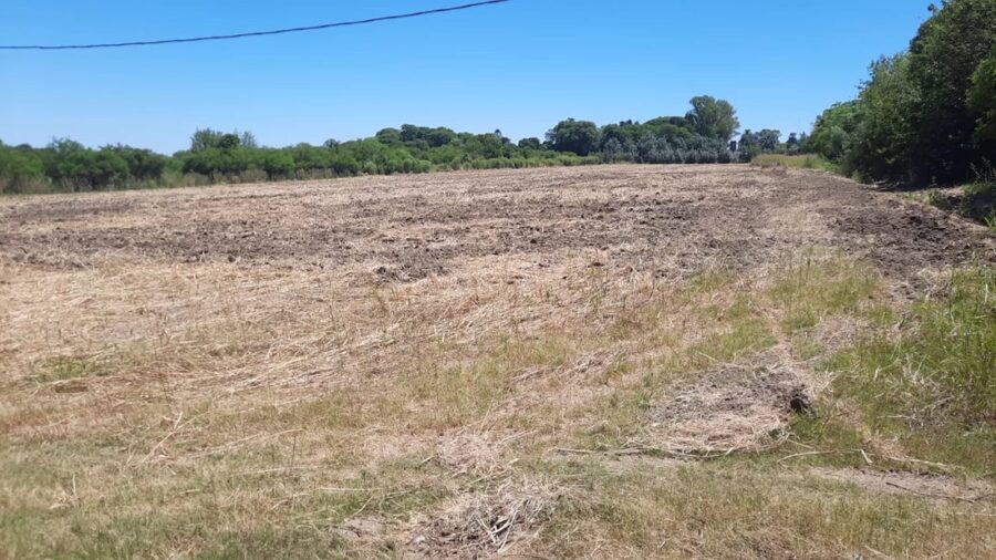 SE VENDEN 5.5 hectáreas en zona Acceso Norte
