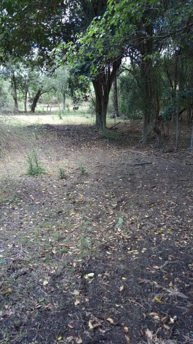 SE VENDEN 5.5 hectáreas en zona Acceso Norte