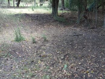 SE VENDEN 5.5 hectáreas en zona Acceso Norte