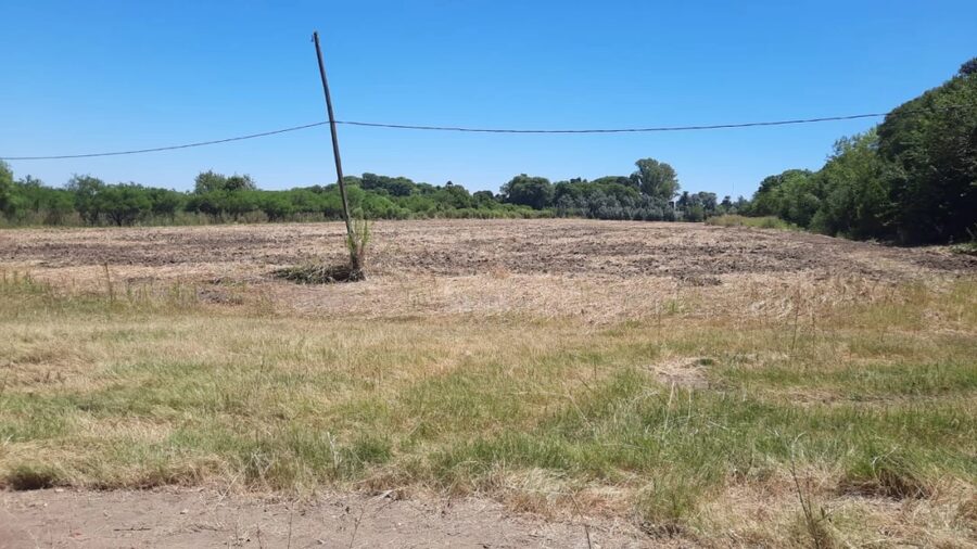 SE VENDEN 5.5 hectáreas en zona Acceso Norte