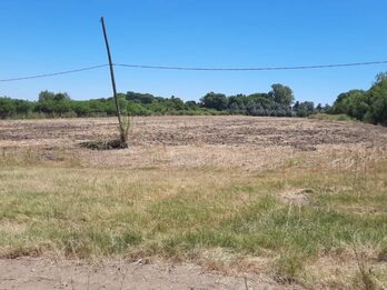 SE VENDEN 5.5 hectáreas en zona Acceso Norte