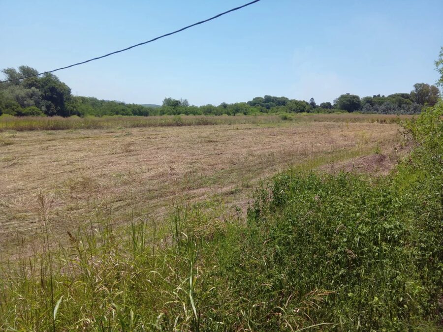 SE VENDEN 5.5 hectáreas en zona Acceso Norte