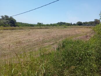 SE VENDEN 5.5 hectáreas en zona Acceso Norte