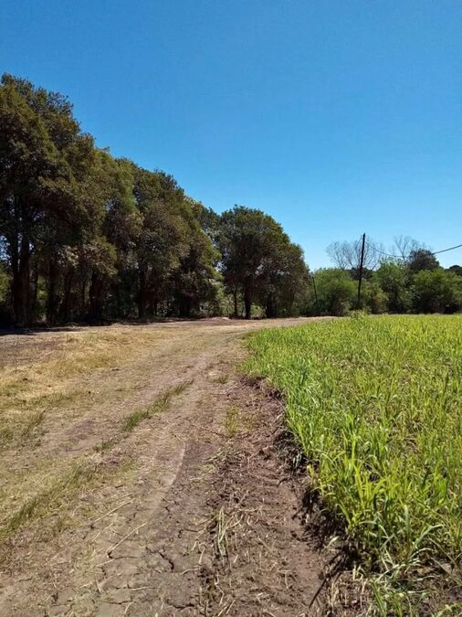 SE VENDEN 5.5 hectáreas en zona Acceso Norte