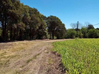 SE VENDEN 5.5 hectáreas en zona Acceso Norte