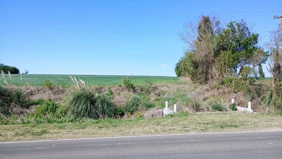 SE VENDE 1.5 HECTAREA A SOLO 1KM DE ORO VERDE