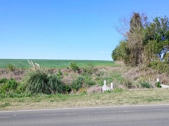 SE VENDE 1.5 HECTAREA A SOLO 1KM DE ORO VERDE
