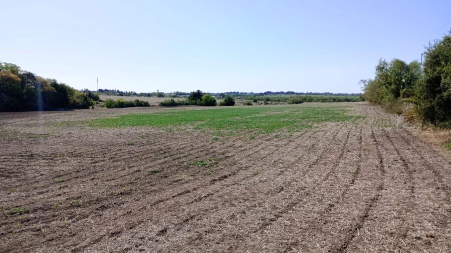 SE VENDE 1.5 HECTAREA A SOLO 1KM DE ORO VERDE