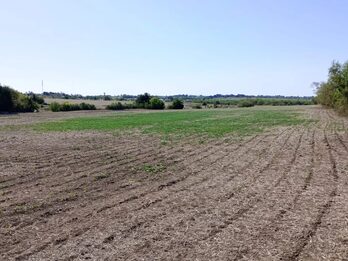 SE VENDE 1.5 HECTAREA A SOLO 1KM DE ORO VERDE