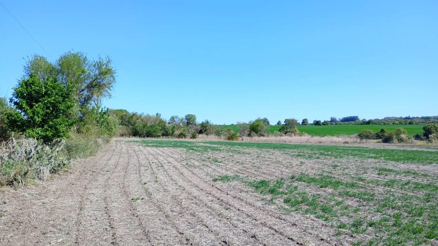 SE VENDE 1.5 HECTAREA A SOLO 1KM DE ORO VERDE