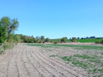 SE VENDE 1.5 HECTAREA A SOLO 1KM DE ORO VERDE