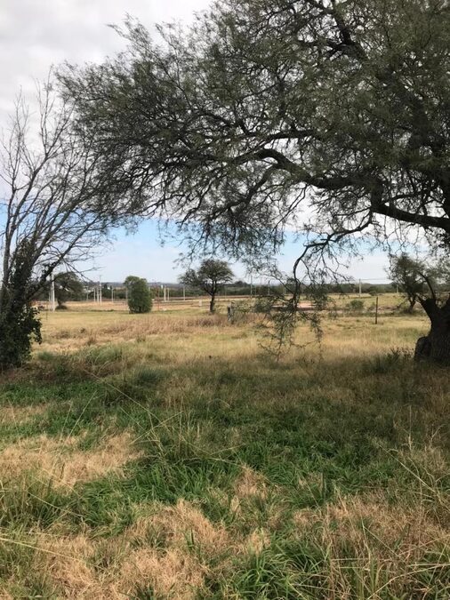 Se vende terreno amplio de 497m2 en Oro Verde