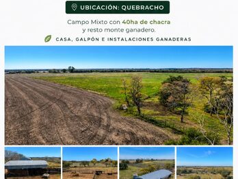 Campo Mixto En Quebracho! 98ha