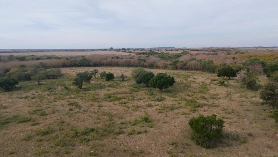 Campo Mixto En Quebracho! 98ha