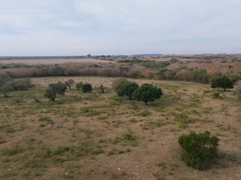 Campo Mixto En Quebracho! 98ha
