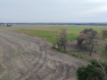 Campo Mixto En Quebracho! 98ha