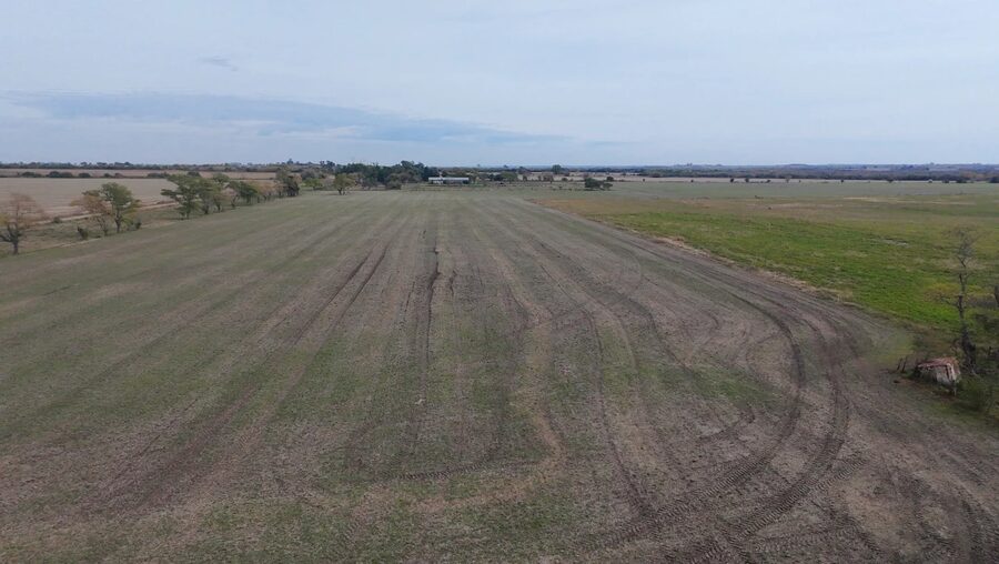 Campo Mixto En Quebracho! 98ha