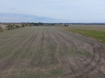 Campo Mixto En Quebracho! 98ha
