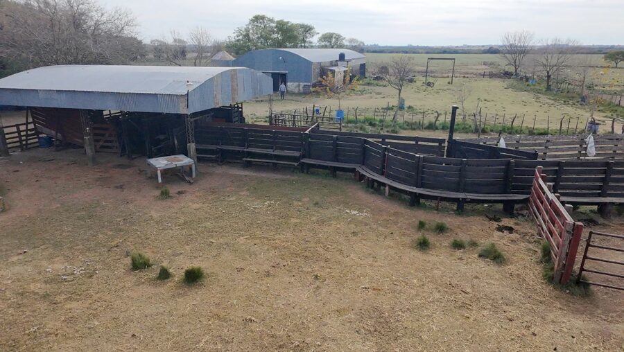 Campo Mixto En Quebracho! 98ha
