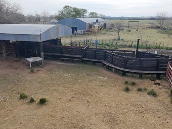 Campo Mixto En Quebracho! 98ha