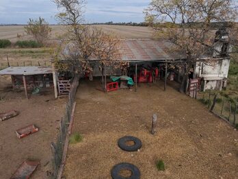 Campo Mixto En Quebracho! 98ha