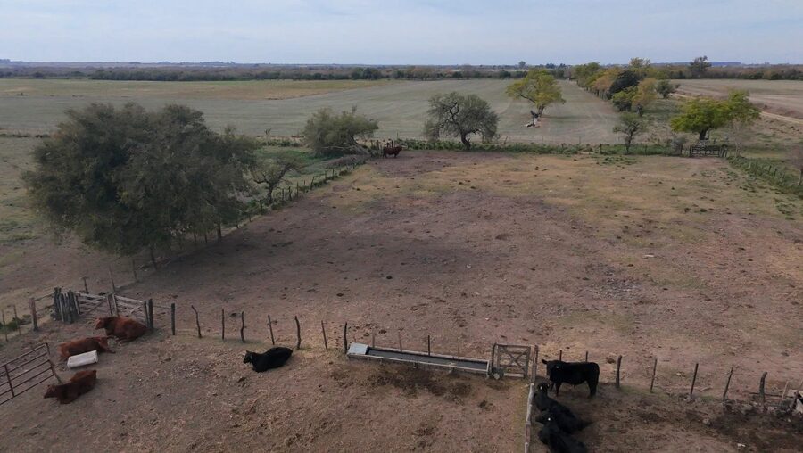 Campo Mixto En Quebracho! 98ha