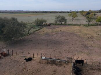 Campo Mixto En Quebracho! 98ha