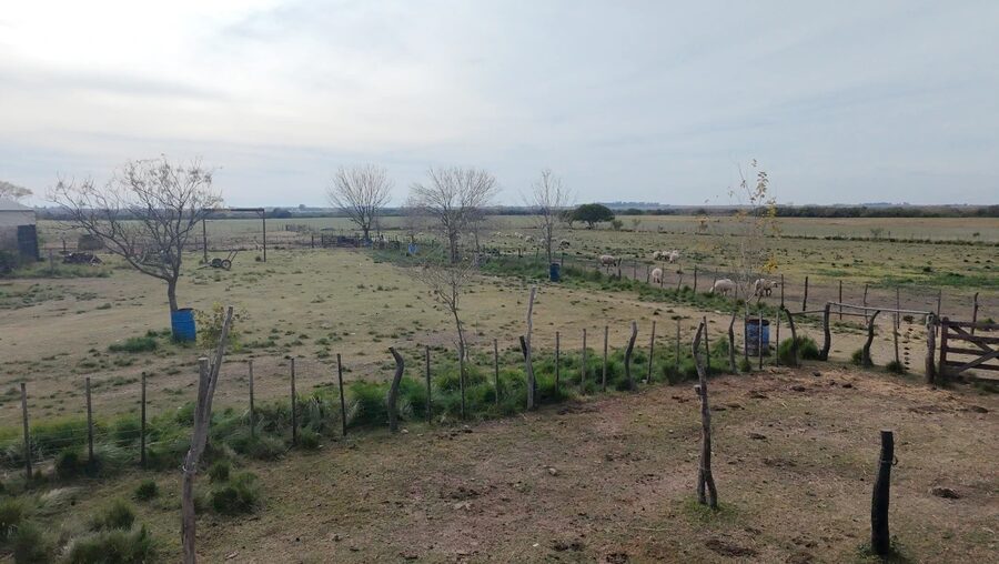 Campo Mixto En Quebracho! 98ha
