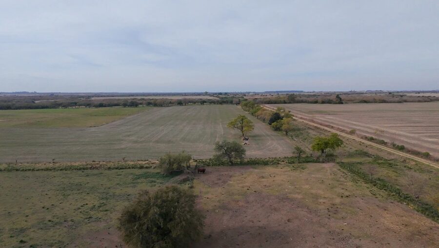 Campo Mixto En Quebracho! 98ha